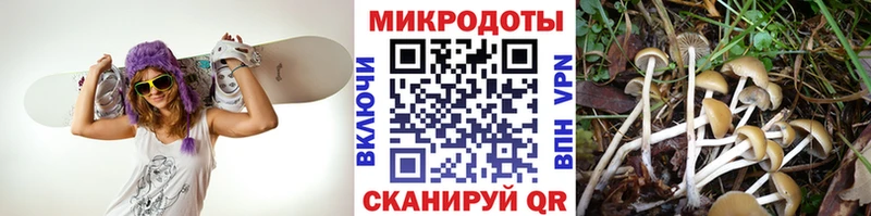 Галлюциногенные грибы мухоморы  купить наркотики цена  маркетплейс как зайти  Березники 